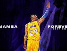 IM体育动画直播通道-卡塞米罗的钢铁屏障，巴西中场大师如何以一己之力压制加纳，为韩国敲响警钟