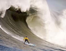 IM体育社区互动入口-拉文主宰比赛走向，火箭正面击溃活塞，一场攻防艺术的完美演绎