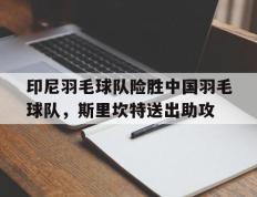 IM体育社区互动入口-印尼羽毛球队险胜中国羽毛球队，斯里坎特送出助攻的简单介绍