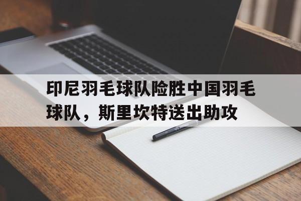 IM体育社区互动入口-印尼羽毛球队险胜中国羽毛球队,斯里坎特送出助攻的简单介绍