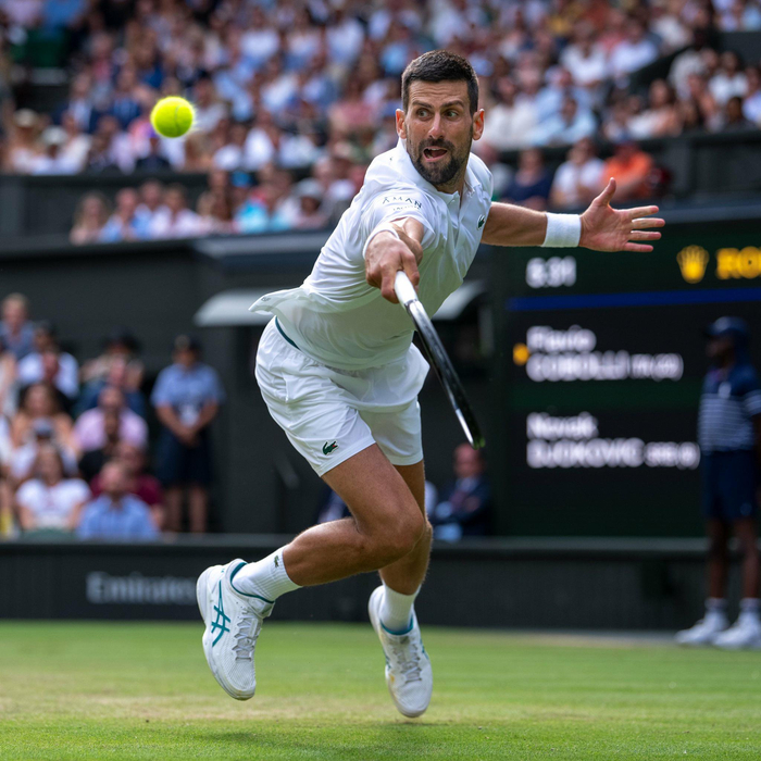 IM体育官方平台-关于法网轻取拉沃尔杯,德约科维奇惊艳四座的信息